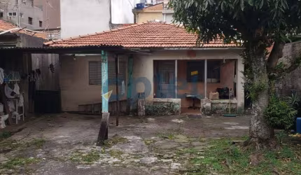 TERRENO PLANO 10X30 VENDA -JARDIM SANTO ALBERTO - SANTO ANDRÉ/SP