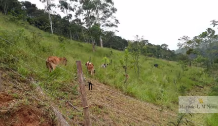 Chacará de 02 Quartos sendo 01 suíte em Natividade da Serra - SP