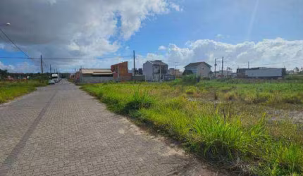 Terreno à venda por R$ 265.000,00 - Nova Barra Velha - Barra Velha/SC