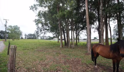 Terreno com 6.085,4m² , para aluguel, no bairro Quississana em São José dos Pinhais