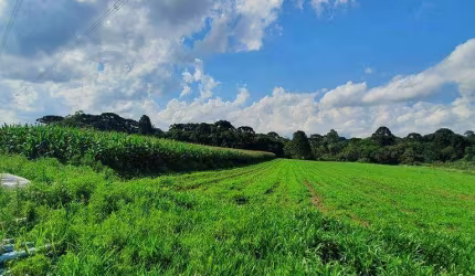 Terreno com 107.690m² , à venda, no bairro Campo Largo da Roseira em São José dos Pinhais