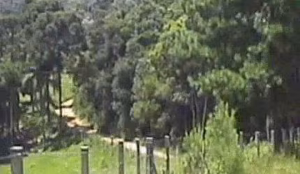 Terreno com 145.200m² , à venda, no bairro Zona Rural em Tijucas do Sul