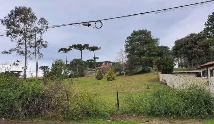 Terreno com 2.000m² , para aluguel, no bairro Colônia Murici em São José dos Pinhais