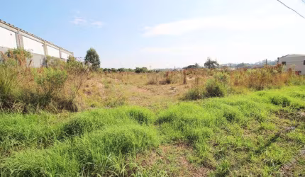 Terreno com 6.708m² , à venda, no bairro Braga em São José dos Pinhais