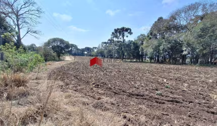 Terreno com 69.216,89m² , à venda, no bairro Campo Largo da Roseira em São José dos Pinhais