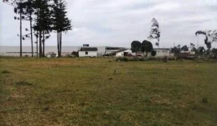 Terreno com 36.453,05m² , à venda, no bairro Costeira em São José dos Pinhais