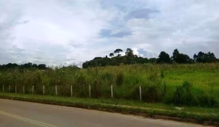 Terreno com 31.915m² , à venda, no bairro Afonso Pena em São José dos Pinhais