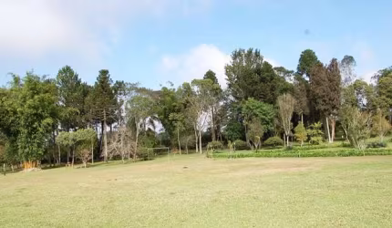 Terreno com 18.390,17m² , à venda, no bairro Rio Pequeno em São José dos Pinhais