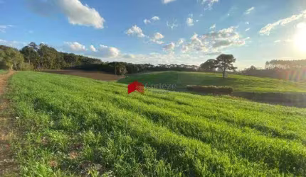 Chácara com 114.345m² , à venda, no bairro Colônia Murici em São José dos Pinhais