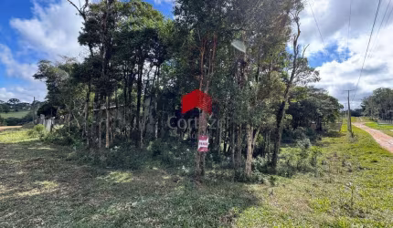 Terreno com 1.144m² , à venda, no bairro Borda do Campo em São José dos Pinhais