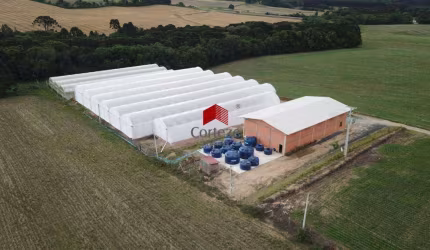Área Rural com 30.244m² , à venda, no bairro PASSA DOIS em Lapa