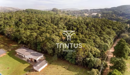 Área à venda, 76040 m² por R$ 1.700.000,00 - Boichininga - Almirante Tamandaré/PR