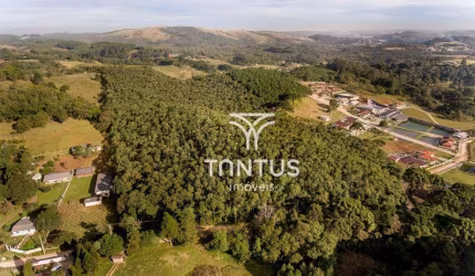 Chácara à venda, 76040 m² por R$ 1.700.000,00 - Boichininga - Almirante Tamandaré/PR