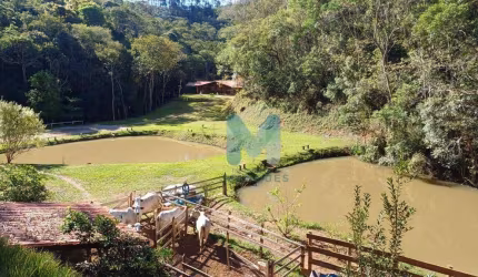 Lindo Sitio em Paraibuna, documentação ok