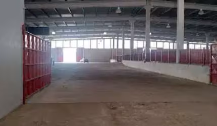 Excelente Galpão com 7000m² de área construída e 145.000m² de terreno de Frente para Via Dutra
