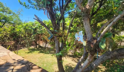 Chácara / sítio com 3 quartos à venda na Rua Ronald de Carvalho, Jardim Maria Goretti, Ribeirão Preto por R$ 650.000