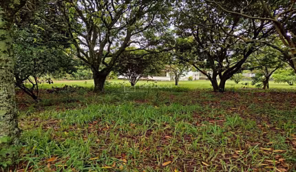 Chácara / sítio com 2 quartos à venda na Rua Sebastião Wenceslau Pinheiro, 455, Loteamento Chácaras Vale das Garças, Campinas, 75 m2 por R$ 550.000