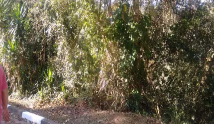 Terreno Pirucaia Mairiporã/SP