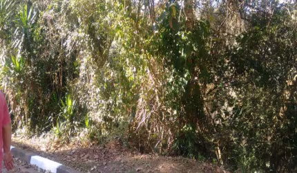 Chácara Pirucaia Mairiporã/SP