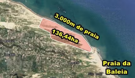 VERAS VENDE Tereno com 136,44ha  em Itapipoca-CE, próximo a