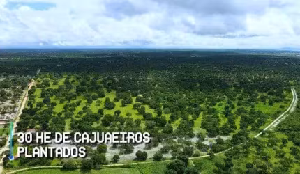 VERAS VENDE FAZENDA 200ha EM CHOROZINHO