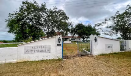 VERAS VENDE FAZENDA HISTÓRICA MASSAPÊ GRANDE - EM MADALENA-CE