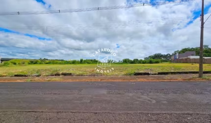 Terreno à venda na Avenida Professor Mário Autuori, City Ribeirão, Ribeirão Preto, 1500 m2 por R$ 1.200.000