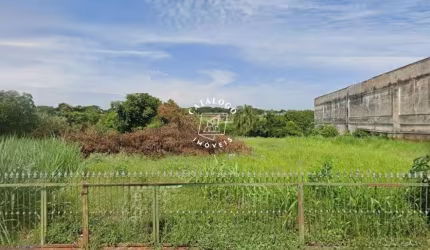 Terreno à venda na Rua Arnaldo Victaliano, Jardim Castelo Branco, Ribeirão Preto, 3271 m2 por R$ 4.500.000