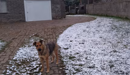 Maravilhoso sítio em Caxias do Sul!