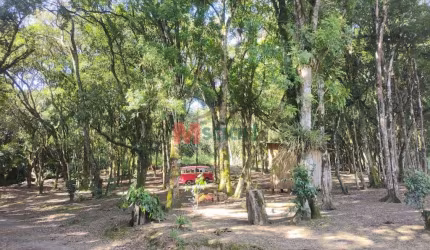 BELÍSSIMA CHÁCARA EM TEIXEIRA SOARES - GUARAUNA