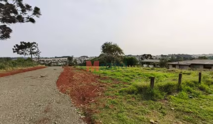 EXCELENTE TERRENO CINTO VERDE RUA JOSE KOTESKI