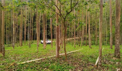 Terreno à venda no Dom Joaquim, Brusque  por R$ 990