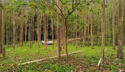 Terreno comercial à venda no Dom Joaquim, Brusque  por R$ 990