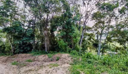 Terreno comercial à venda no Souza Cruz, Brusque  por R$ 215.000