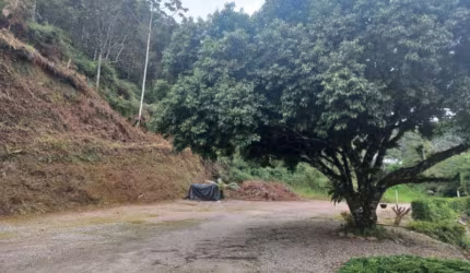 Casa com 2 quartos à venda no Cedrinho, Brusque  por R$ 565.000