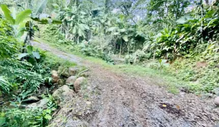 Terreno à venda no Moura, Canelinha  por R$ 279.900