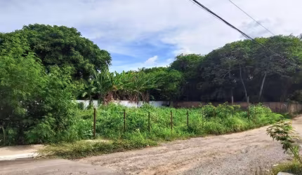 Terreno Comercial à Venda em Itacimirim Camaçari-BA,  1.000m² de Oportunidade Única!
