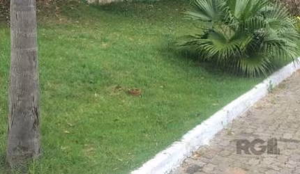 Terreno Residencial em Vila Nova