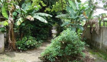 Terreno para Venda - 0m², 0 dormitórios, Tristeza