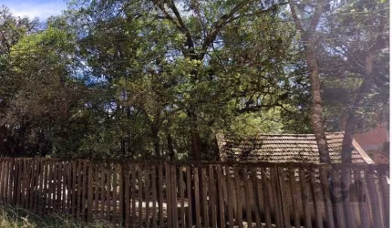 Terreno Residencial em Lomba do Pinheiro