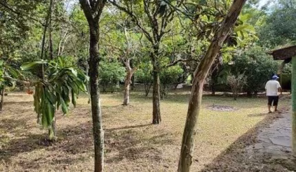 Sítio em Porto Alegre, no bairro São Caetano, à venda.