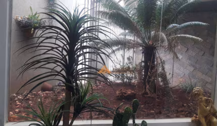 Casa à venda, 203 m² por R$ 900.000,00 - Centro - Ribeirão Preto/SP
