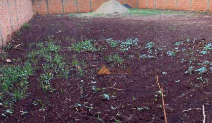 Terreno à venda, 400 m² por R$ 220.000,00 - Parque Residencial Cidade Universitária - Ribeirão Preto/SP