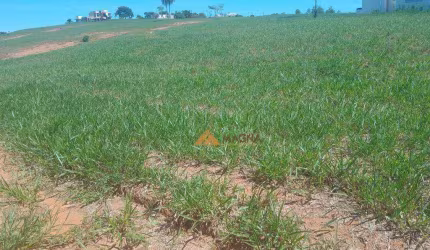 Terreno à venda, 389 m² por R$ 250.000,00 - Riviera de Santa Cristina XIII - Paranapanema/SP