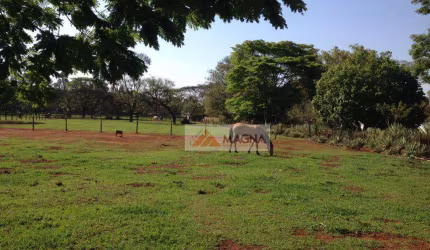 Terreno residencial à venda, Parque São Sebastião, Ribeirão Preto.