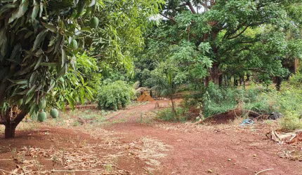 Área à venda, 24000 m² por R$ 11.000.000,00 - Alto do Ginásio - Sertãozinho/SP
