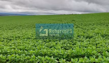 Fazenda à venda com 135 alqueires goiano