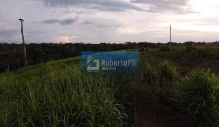 Linda Fazenda em Cristalina pronta para pecuária e agricultura.