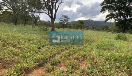 Fazenda de gado à venda na região de Paracatu - MG com 212 hectares