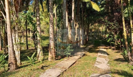 Sítio à venda, 72000 m² por R$ 400.000,00 - Padre André - Jacupiranga/SP